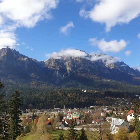 Vila Alunis Busteni Bagian luar foto