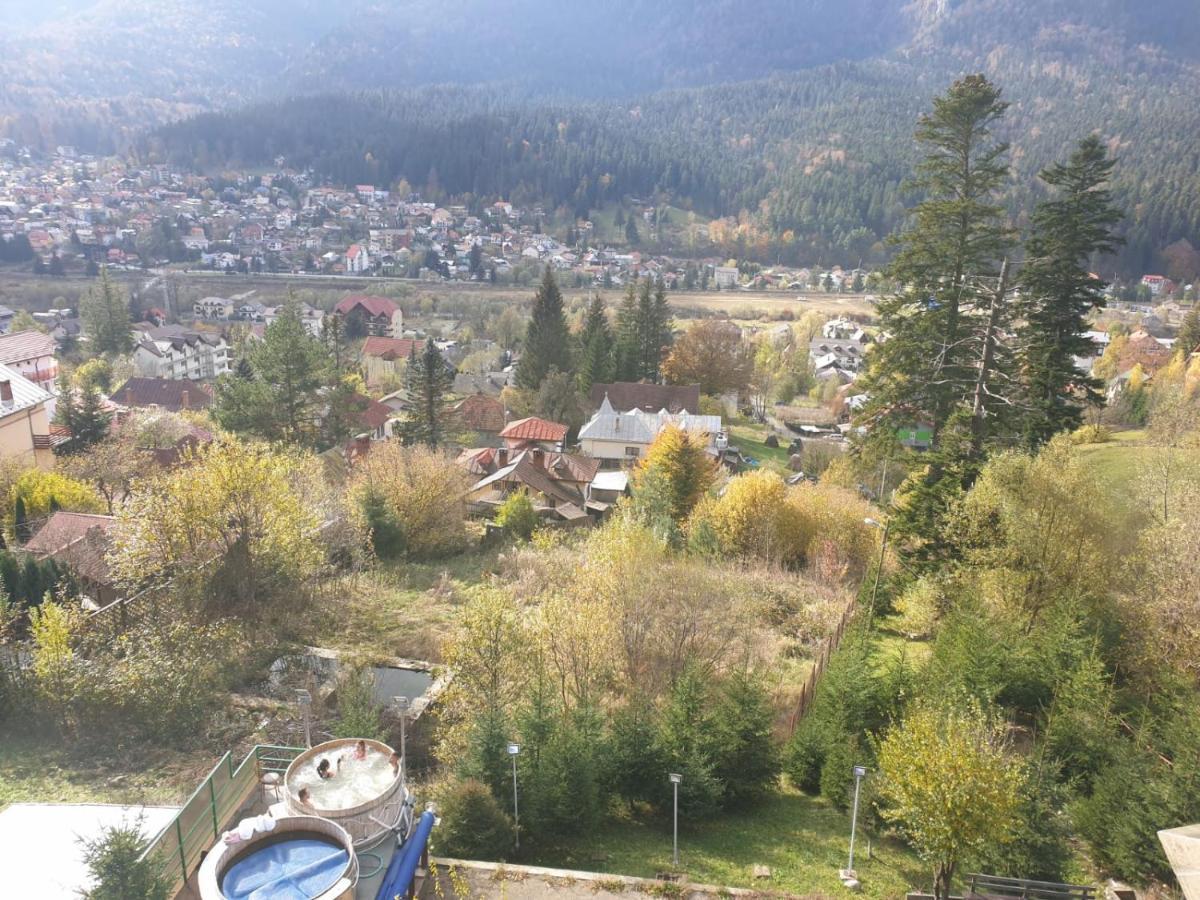 Vila Alunis Busteni Bagian luar foto