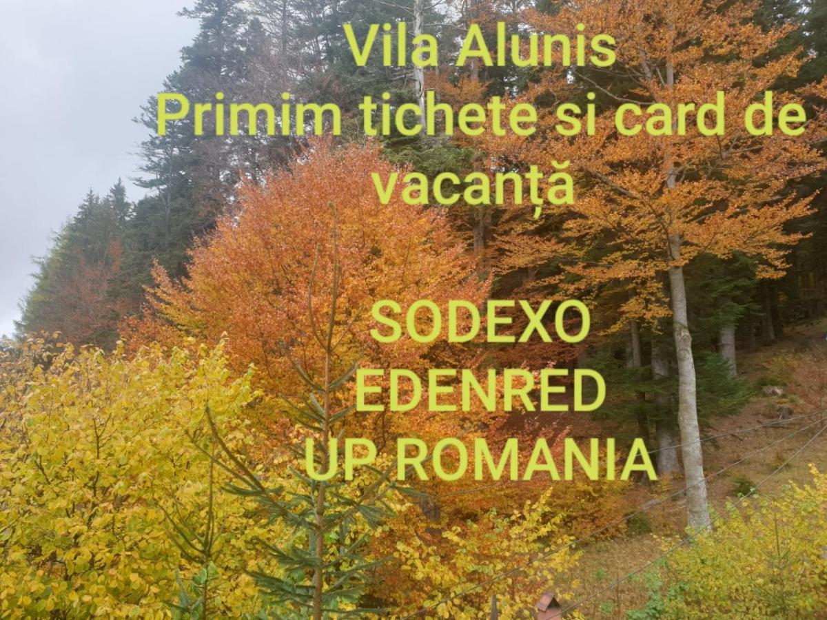 Vila Alunis Busteni Bagian luar foto