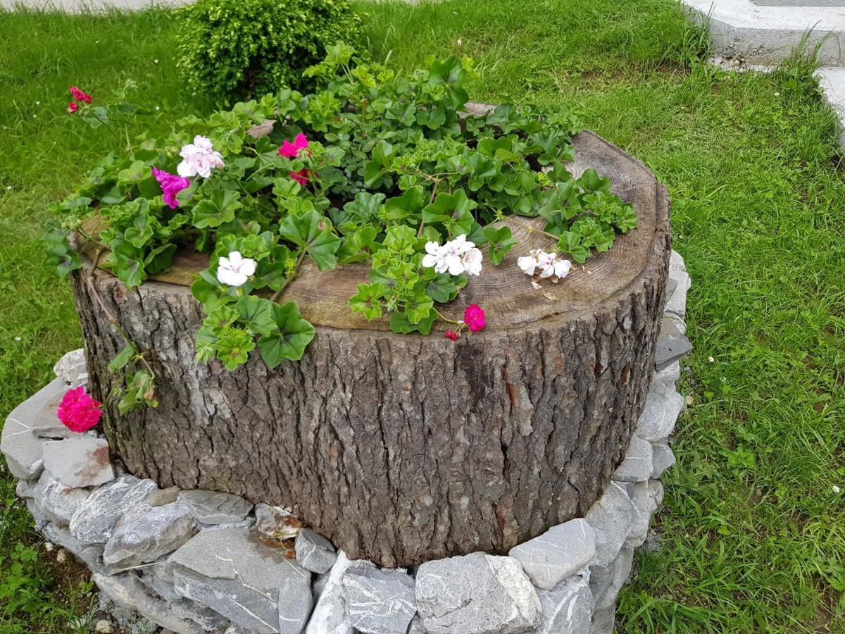 Vila Alunis Busteni Bagian luar foto