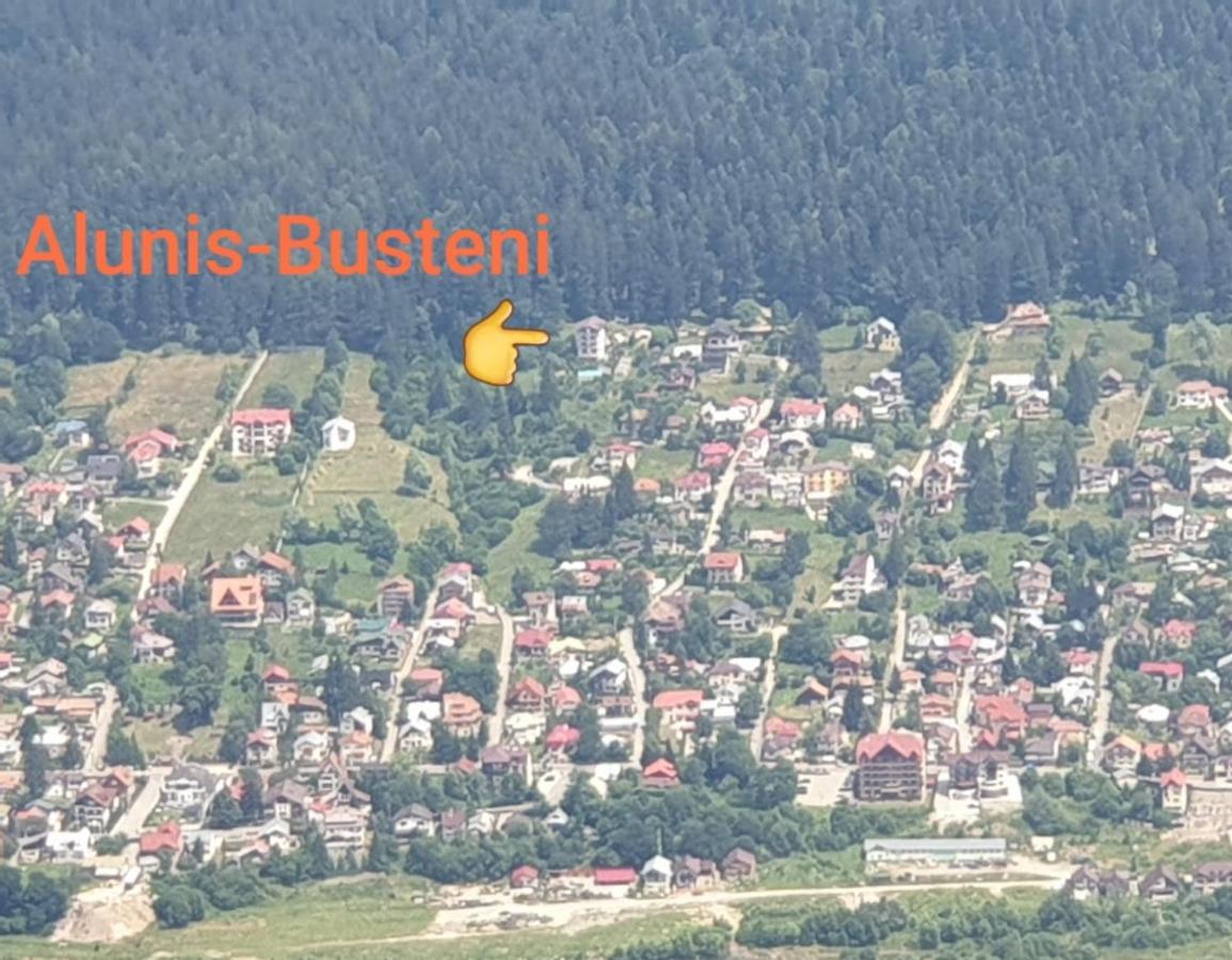 Vila Alunis Busteni Bagian luar foto