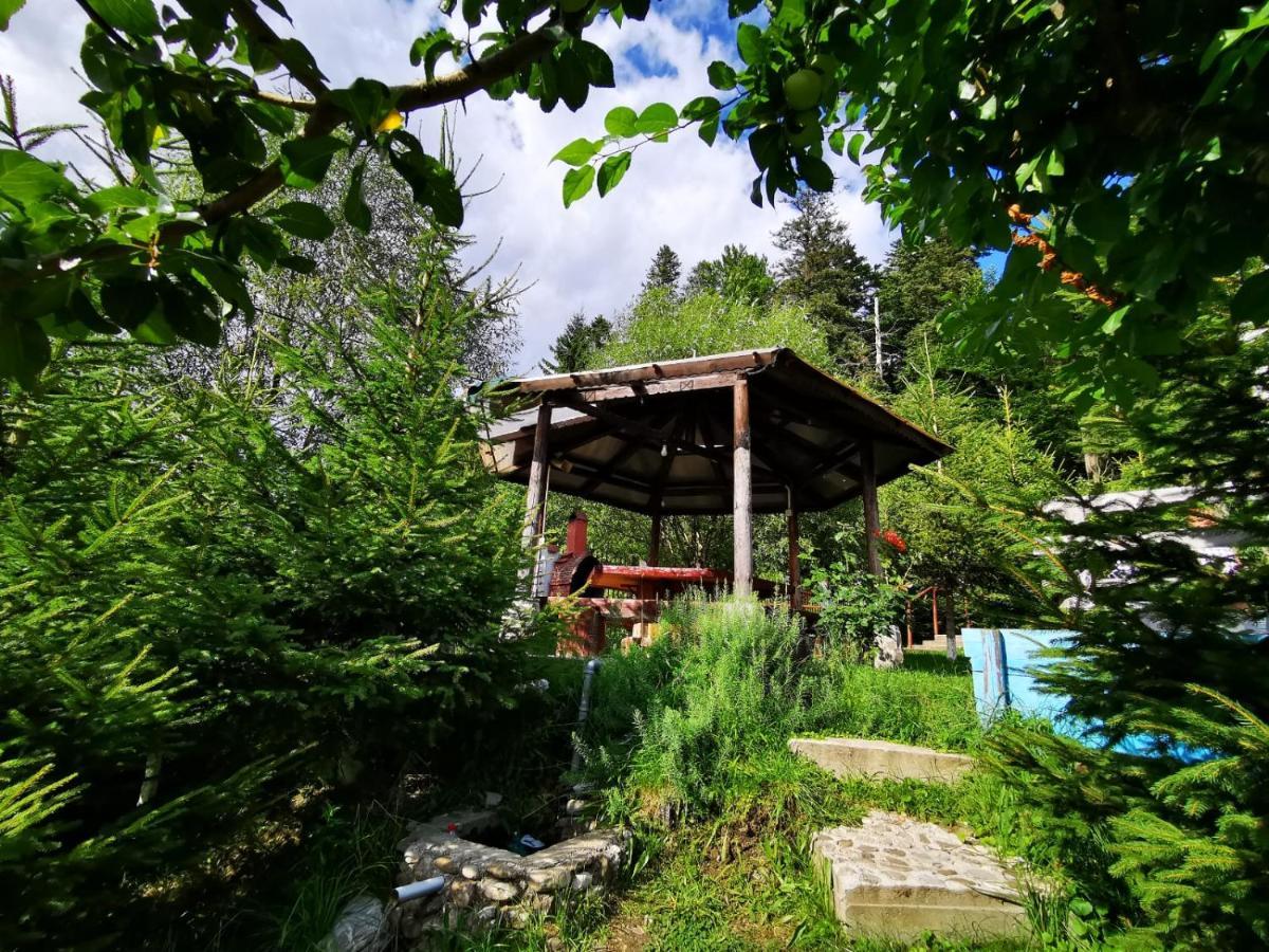 Vila Alunis Busteni Bagian luar foto