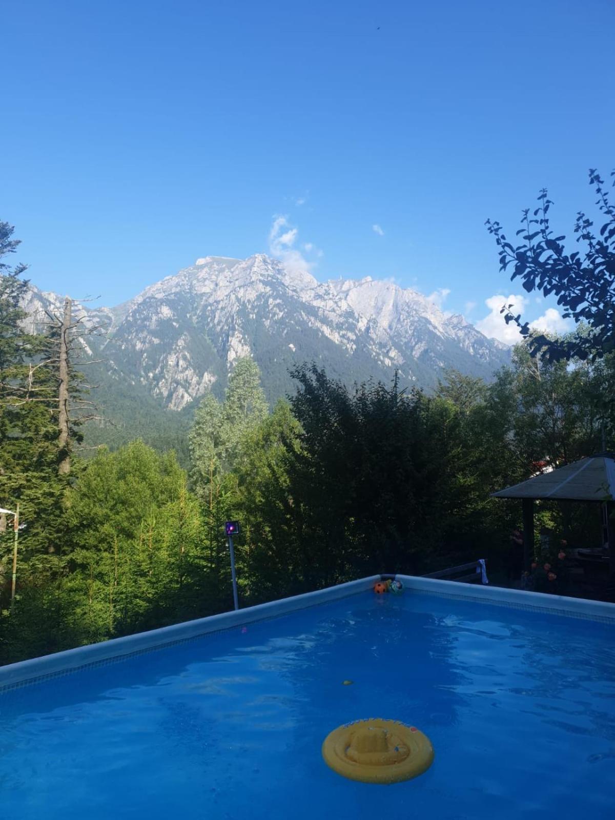 Vila Alunis Busteni Bagian luar foto