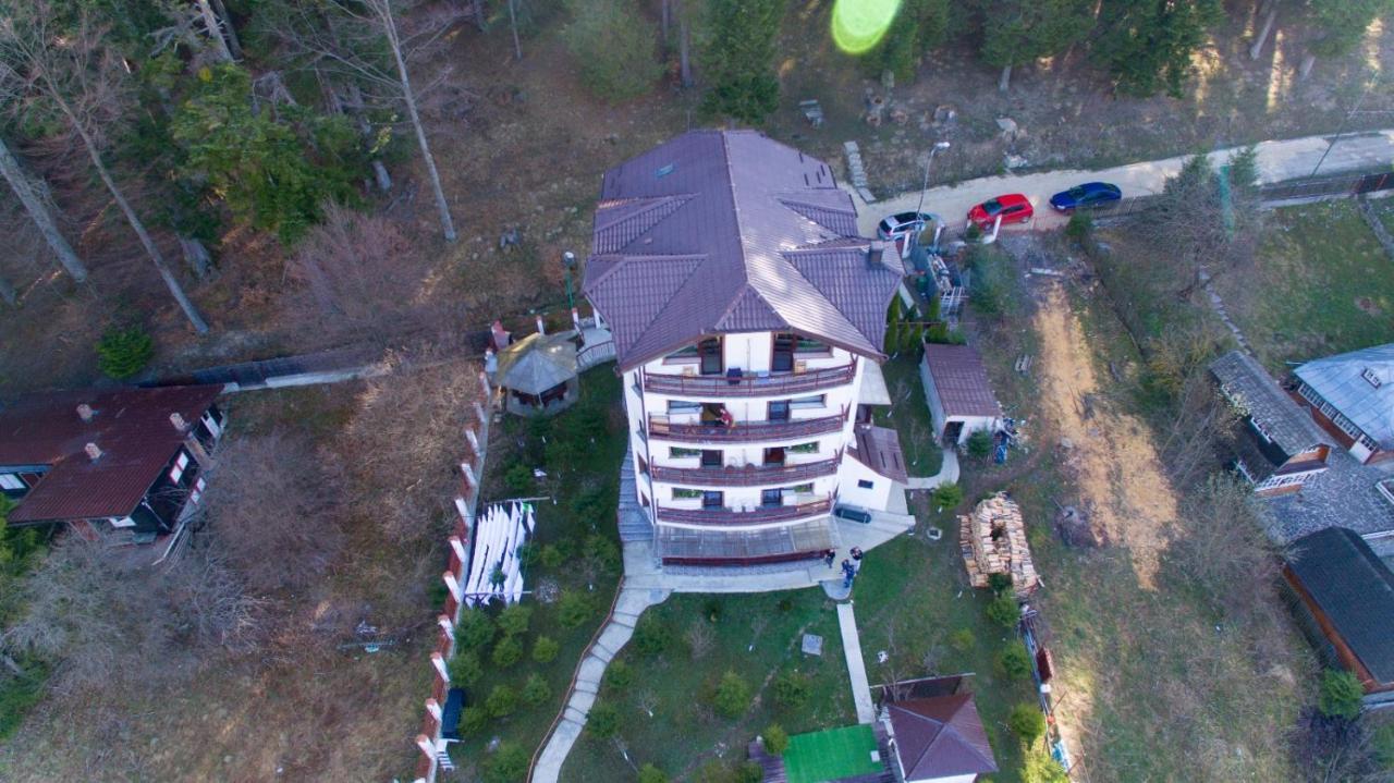 Vila Alunis Busteni Bagian luar foto