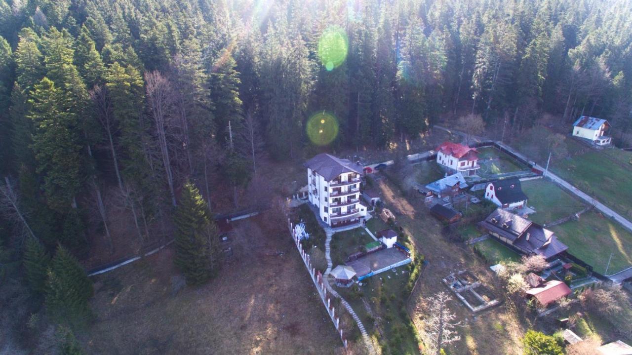 Vila Alunis Busteni Bagian luar foto