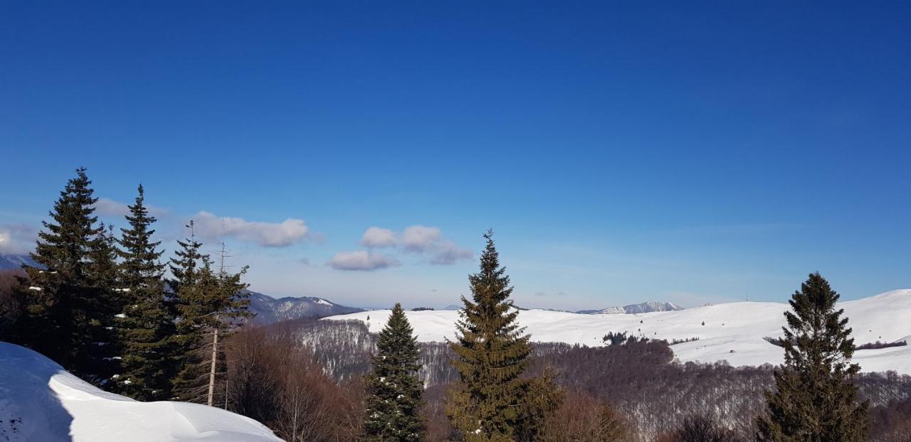 Vila Alunis Busteni Bagian luar foto