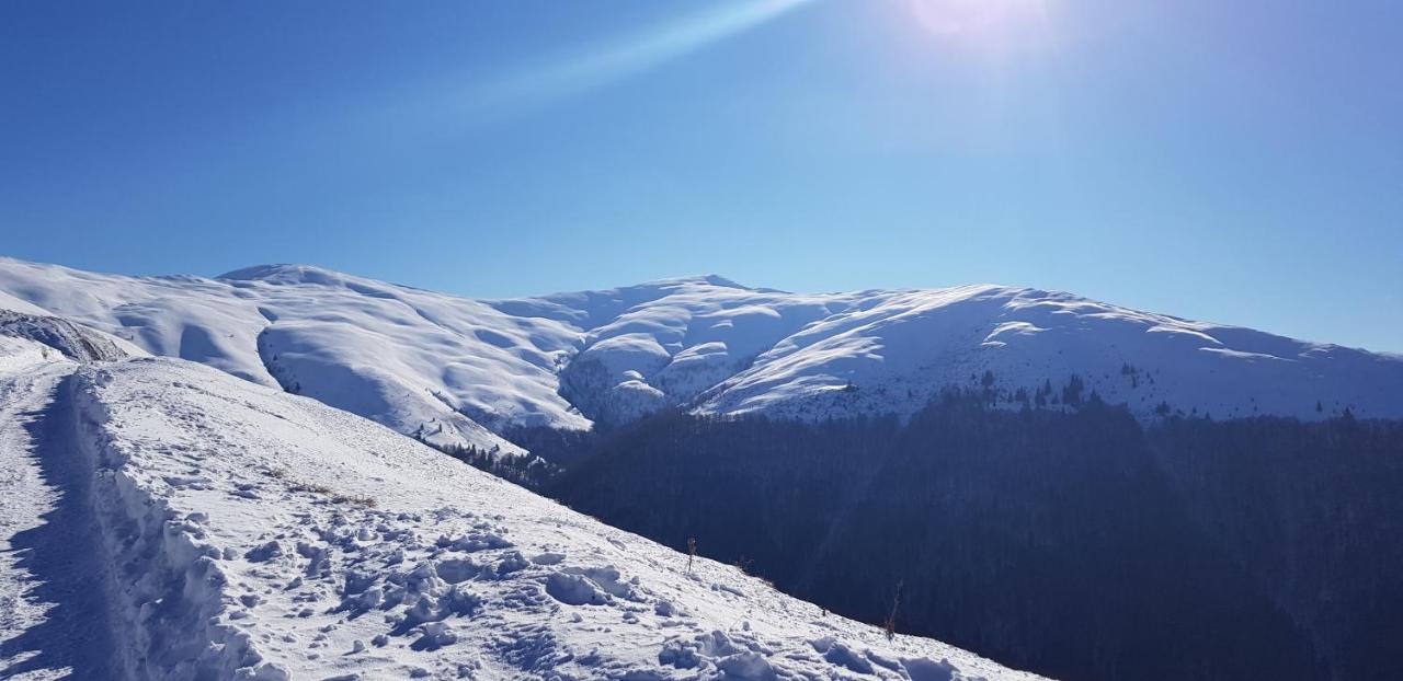 Vila Alunis Busteni Bagian luar foto