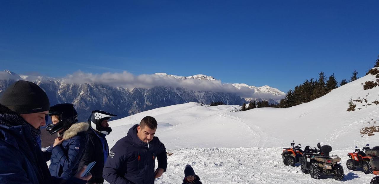 Vila Alunis Busteni Bagian luar foto