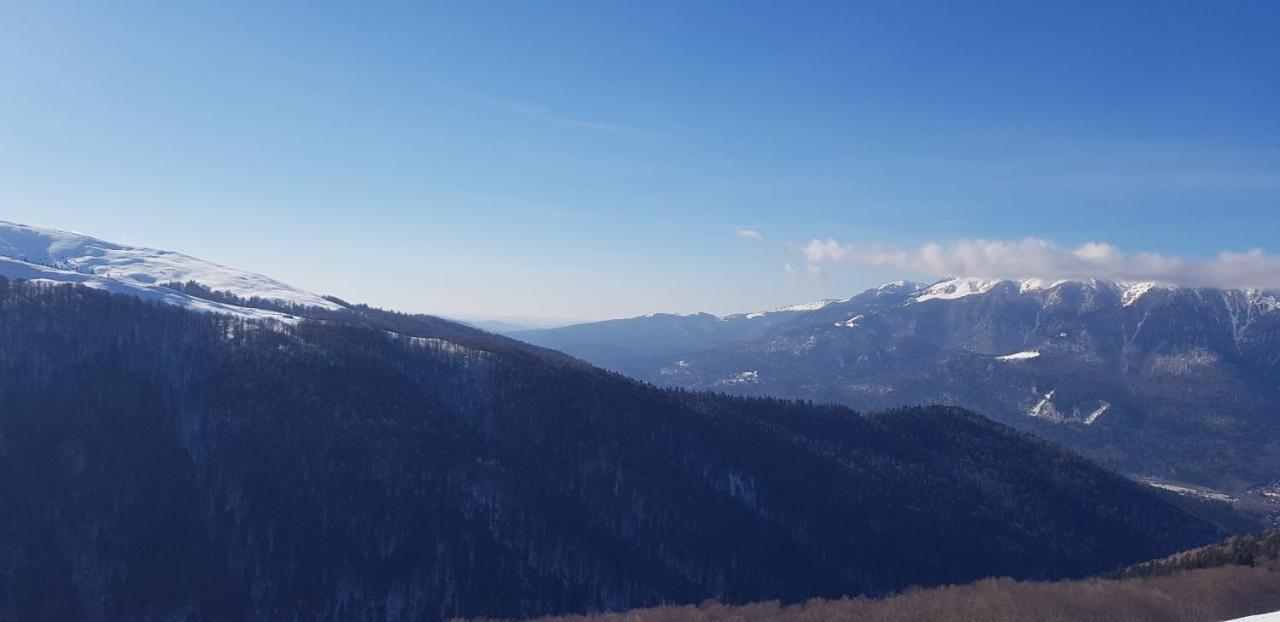 Vila Alunis Busteni Bagian luar foto