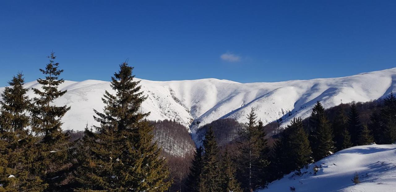 Vila Alunis Busteni Bagian luar foto