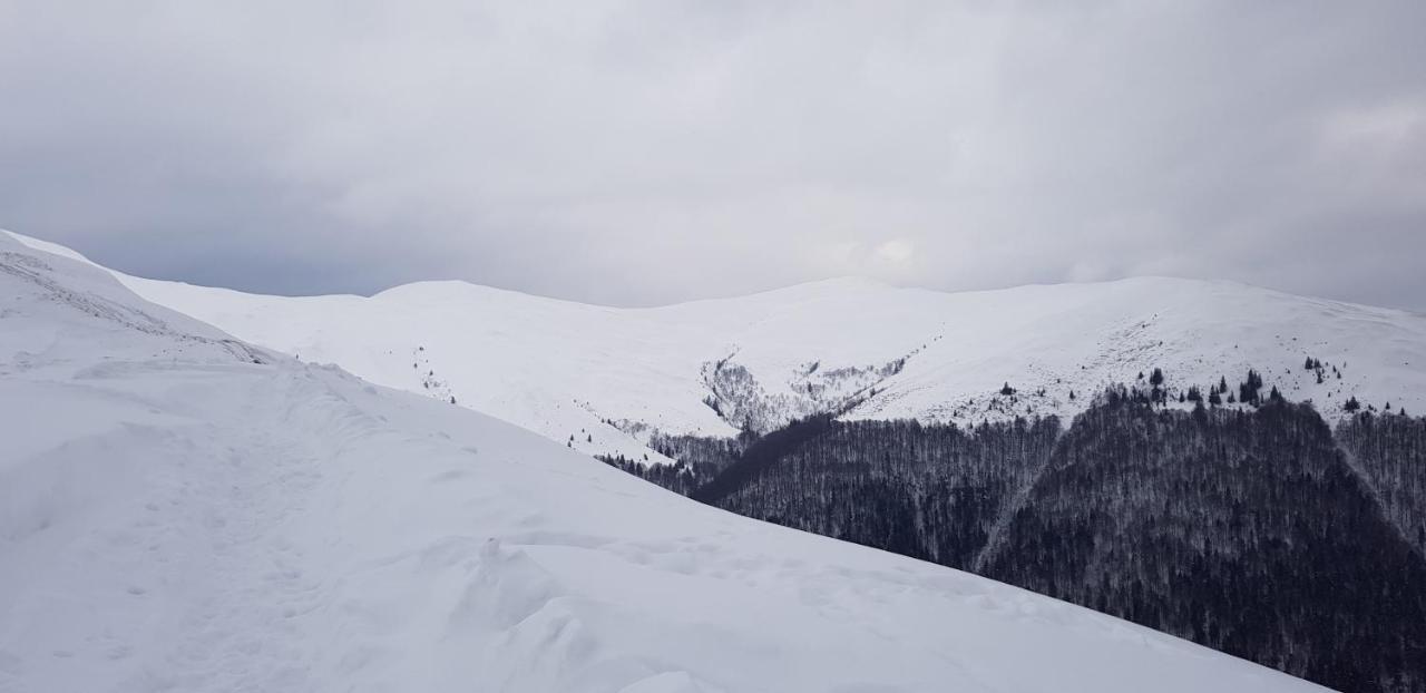 Vila Alunis Busteni Bagian luar foto