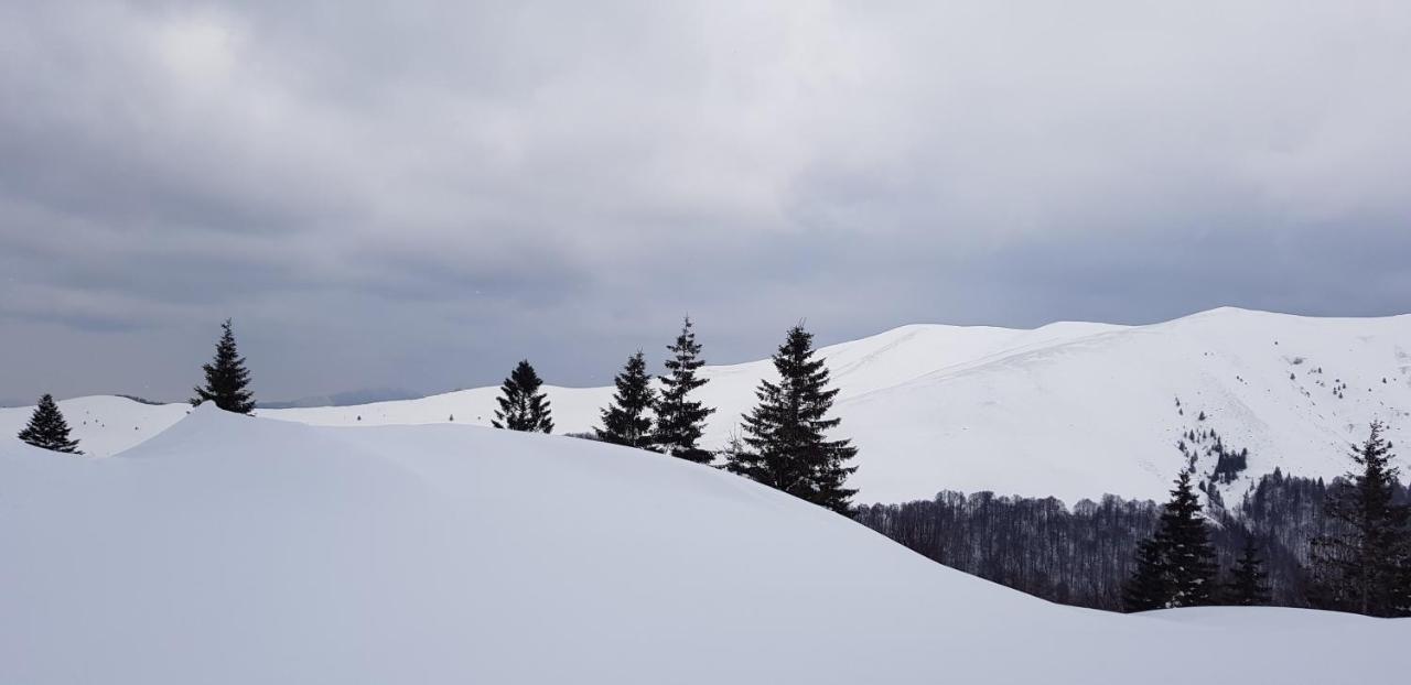 Vila Alunis Busteni Bagian luar foto