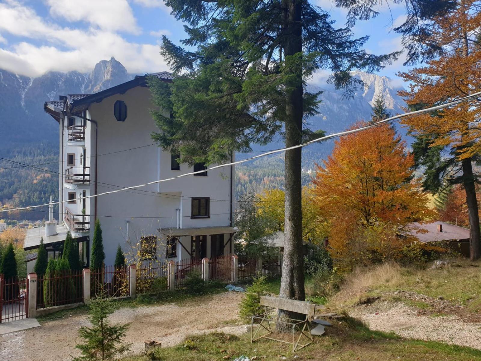 Vila Alunis Busteni Ruang foto