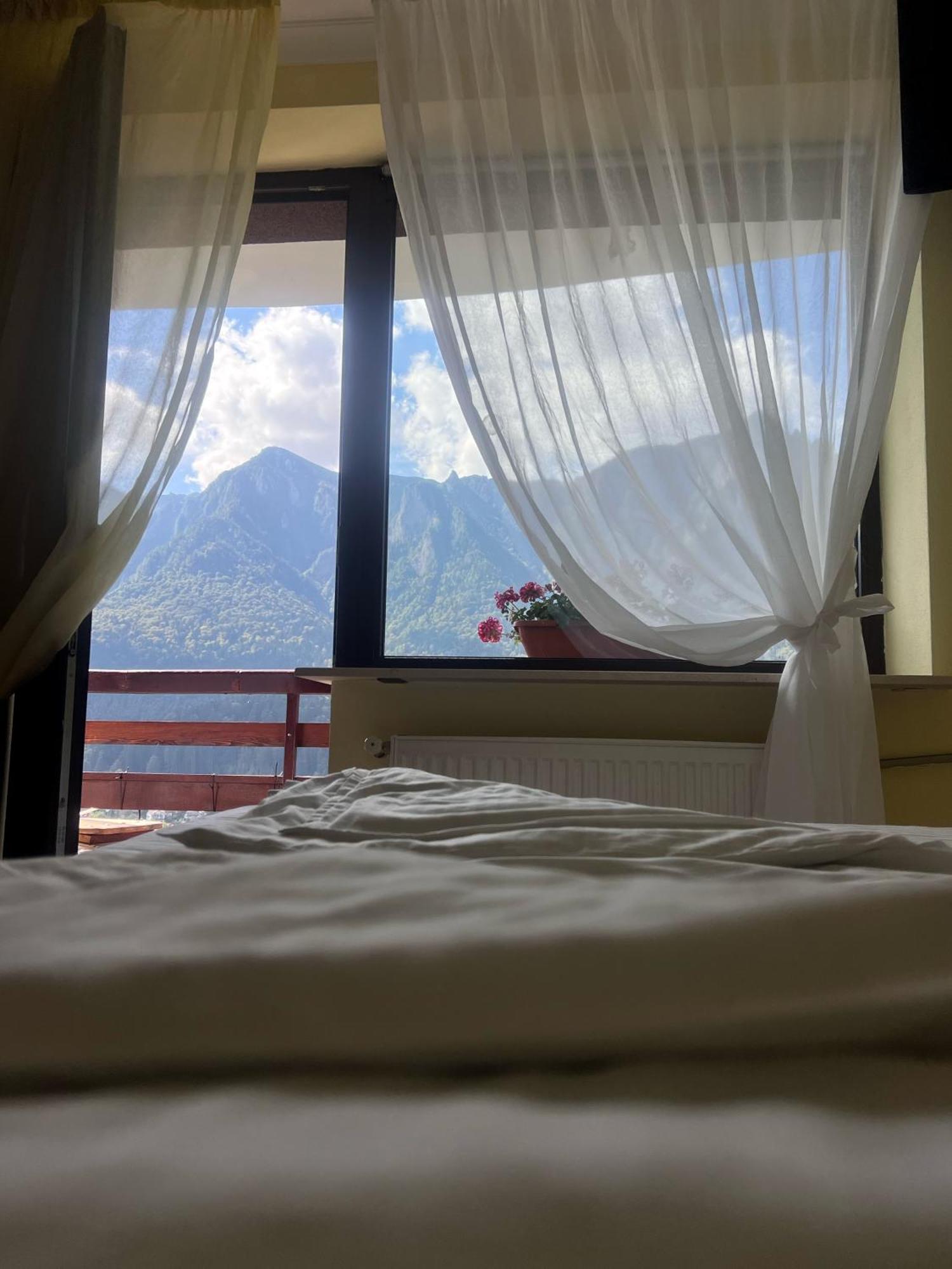 Vila Alunis Busteni Bagian luar foto